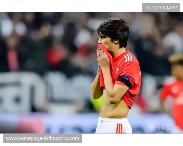 本菲卡若在欧洲舞台持续发力，影响力扩大